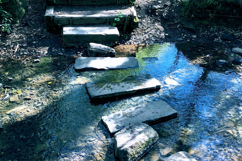 Stepping Stones for Growth
