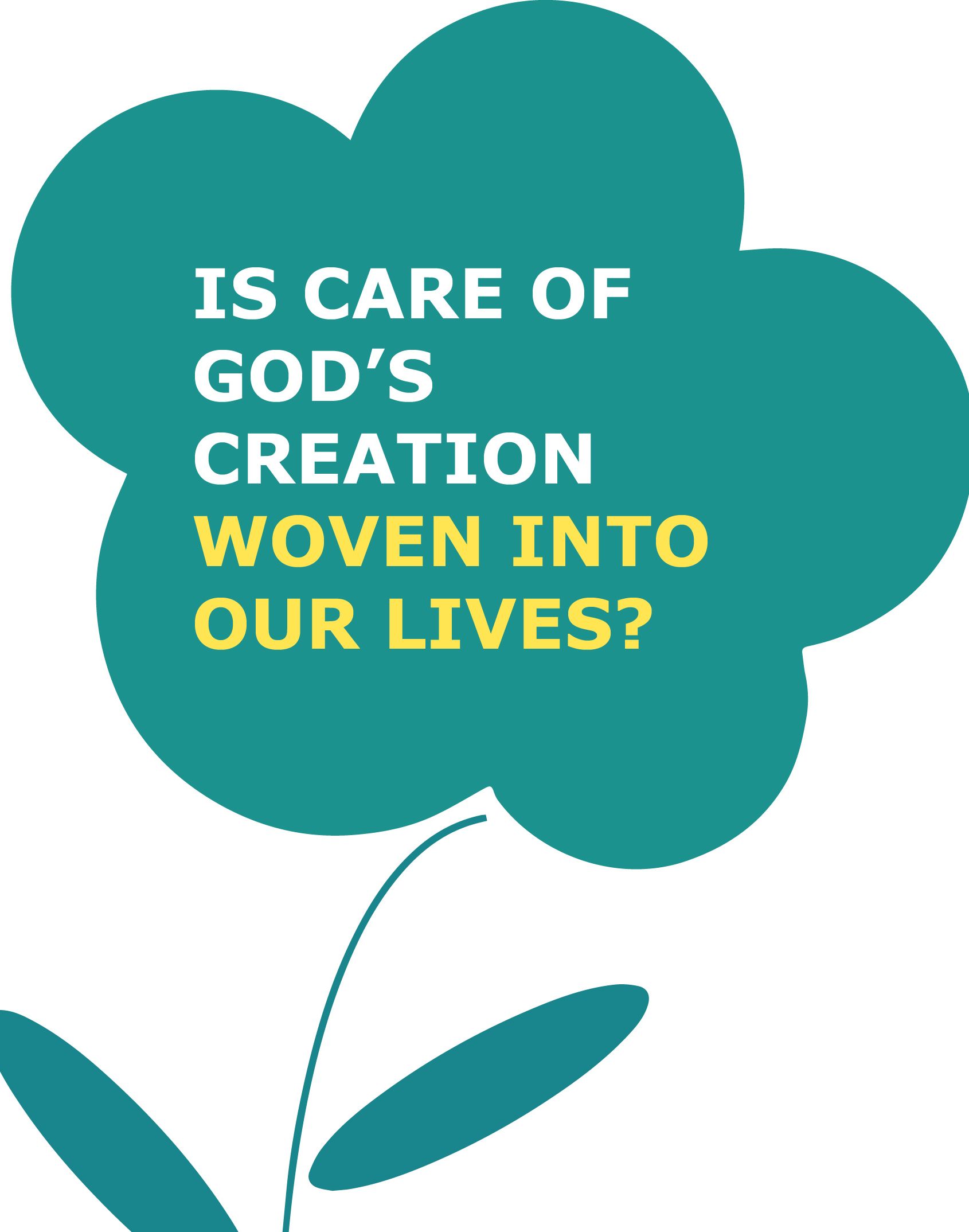 Is care of God's creation woven into our lives?